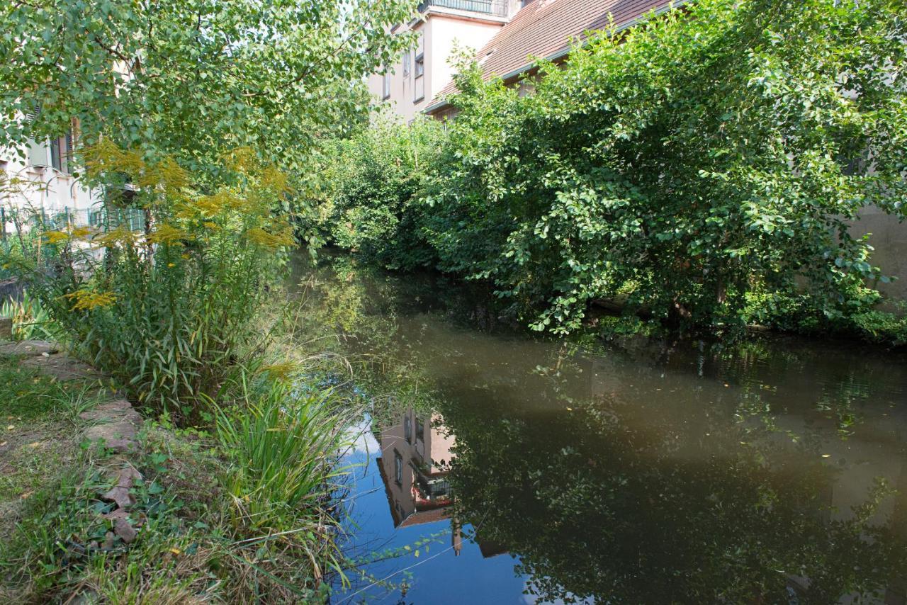 Apartament Meuble Le Coin Tranquille Saverne Zewnętrze zdjęcie